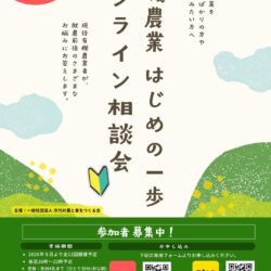 image photo