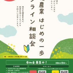 image photo